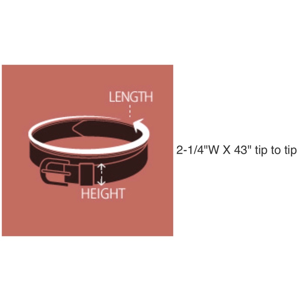 Burgundy Stylish Pearl Accented Buckle Belt - Picture 2 of 2